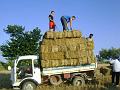 Preparazione campo (13)